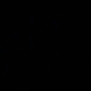 Meet your Posher, Jovanny